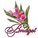 Pink Lily: Bridget