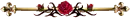 Red Rose