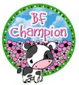 breast feeding champion support