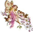 Fairy n Birds