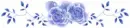 Blue Sparkle Roses