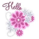 Hello