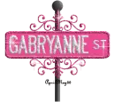 hot pink street sign gabryanne ST
