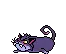 cat crazy