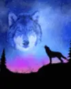 crying wolf