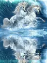 unicorn with water