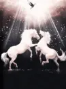 two horses with light
