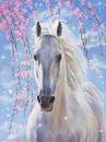horses with glitter