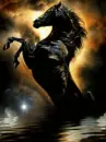 black horses on water
