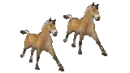Horses
