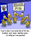 anteater
