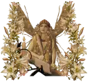 Fairy
