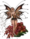 Fairy