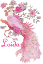 Loida's Pink Peacock
