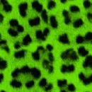 Green leopard print