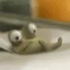 animal