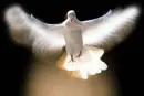 Holy Spirit, 