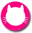 cute cat