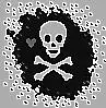 skull