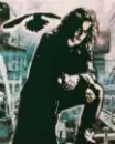 the crow