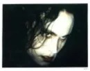 the crow