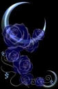 moon roses