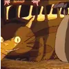 neko bus