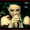 amy lee