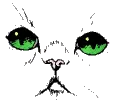 cat face