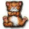 cat is grumpy