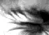 fast eye 