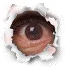 spy on you!