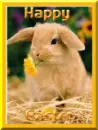 _Holiday_Easter