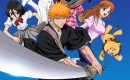 Bleach