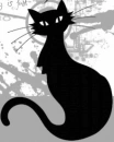 black cat