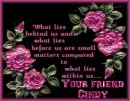 What lies - Cindy