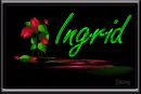 Neon Tulips: Ingrid