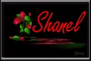 Neon Tulips: Shanel
