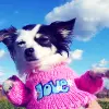cuute<33