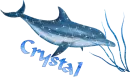 Crystal Dolphin