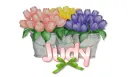 tulips with name Judy