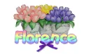 tulips with name Florence