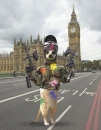 meerkat paintball