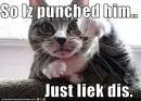 catto