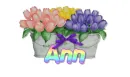 tulips with name Ann