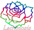 my Name 