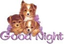 Goodnite