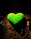 lowe