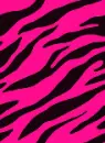 ZEBRA:]