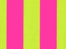 Lime and Hot pink background:)